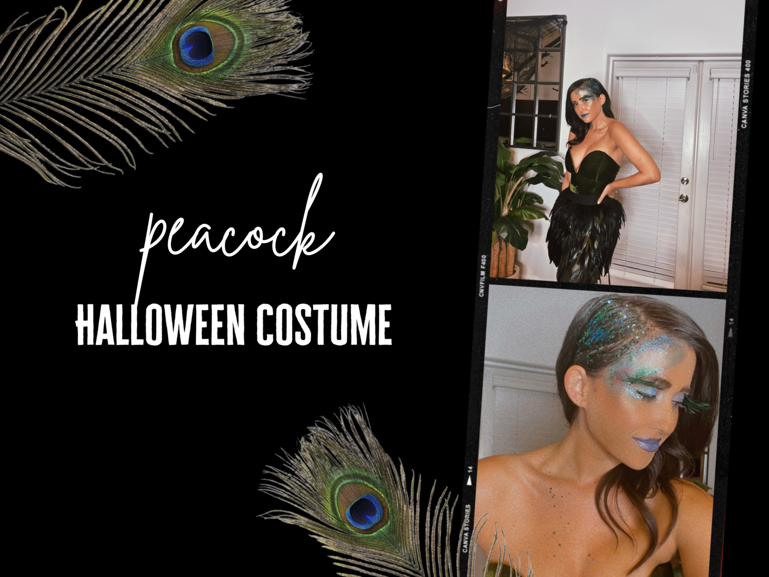 Diy Peacock Halloween Costume 6721