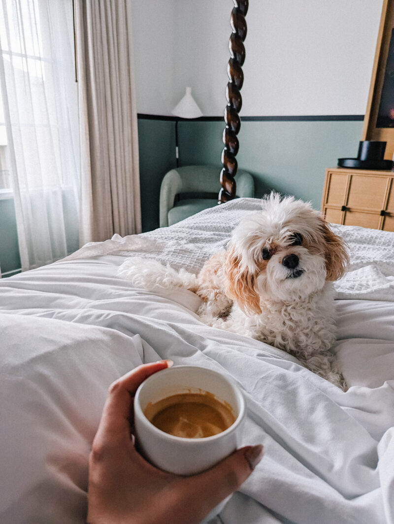 Dog Friendly Vacation at the Kimpton Canary Hotel
