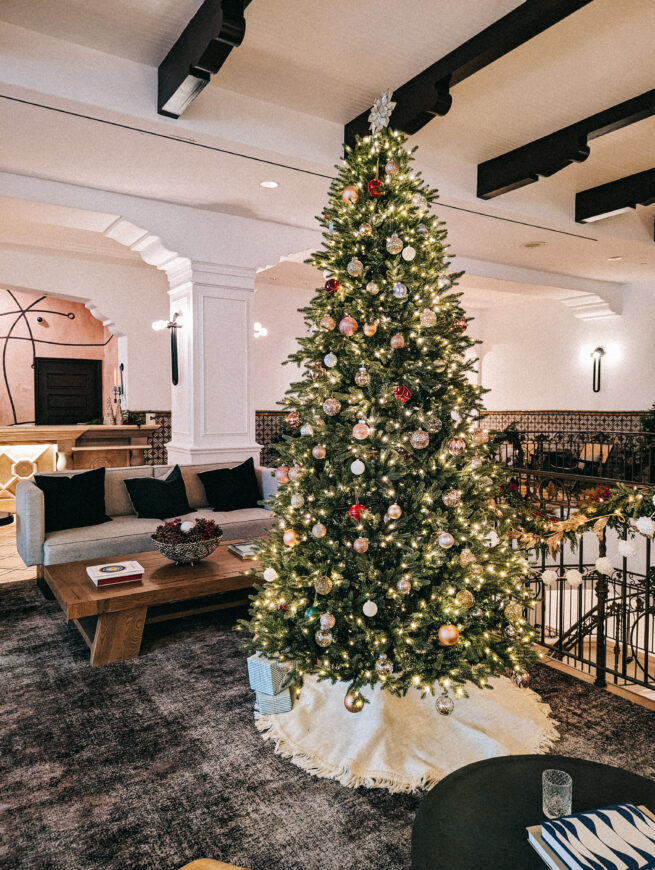 Dog Friendly Vacation at the Kimpton Canary Hotel