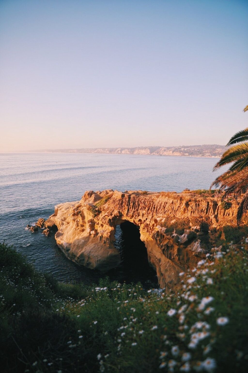 How to Find the Perfect San Diego Real Estate Agent